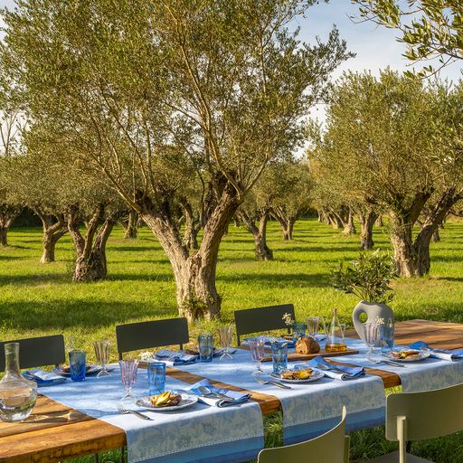 Instant Bucolique - Linen Tablecloth, Placemats, Napkins & Runners