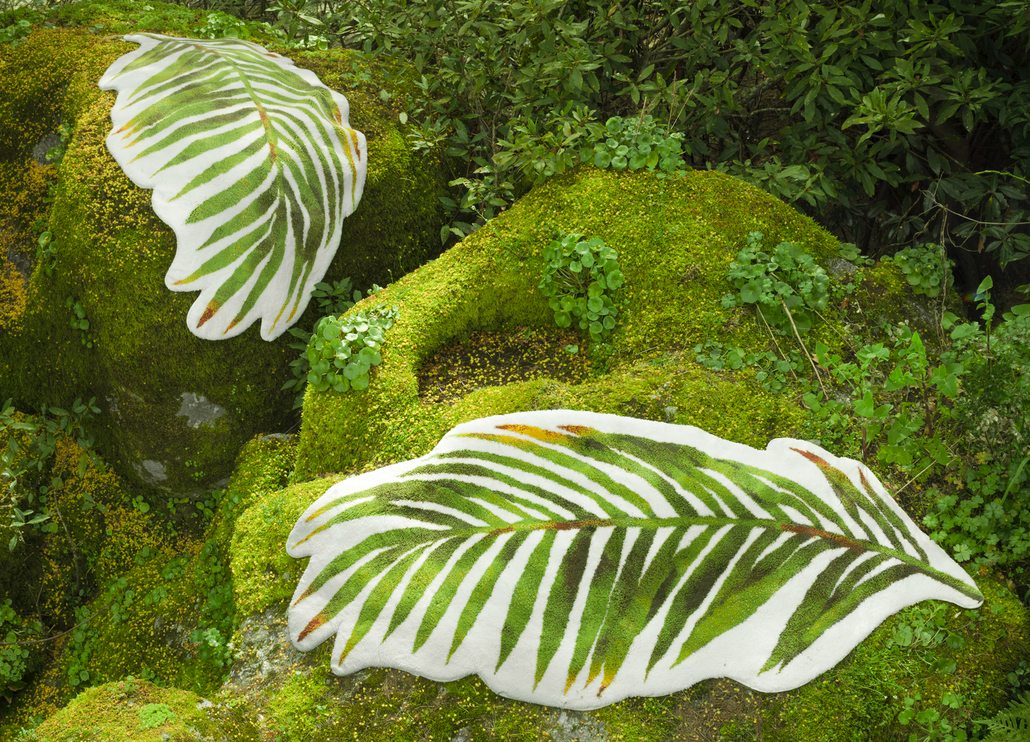 Palm Rug
