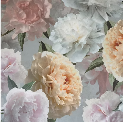 Bijoux - Printed Percale Duvet Covers & Shams