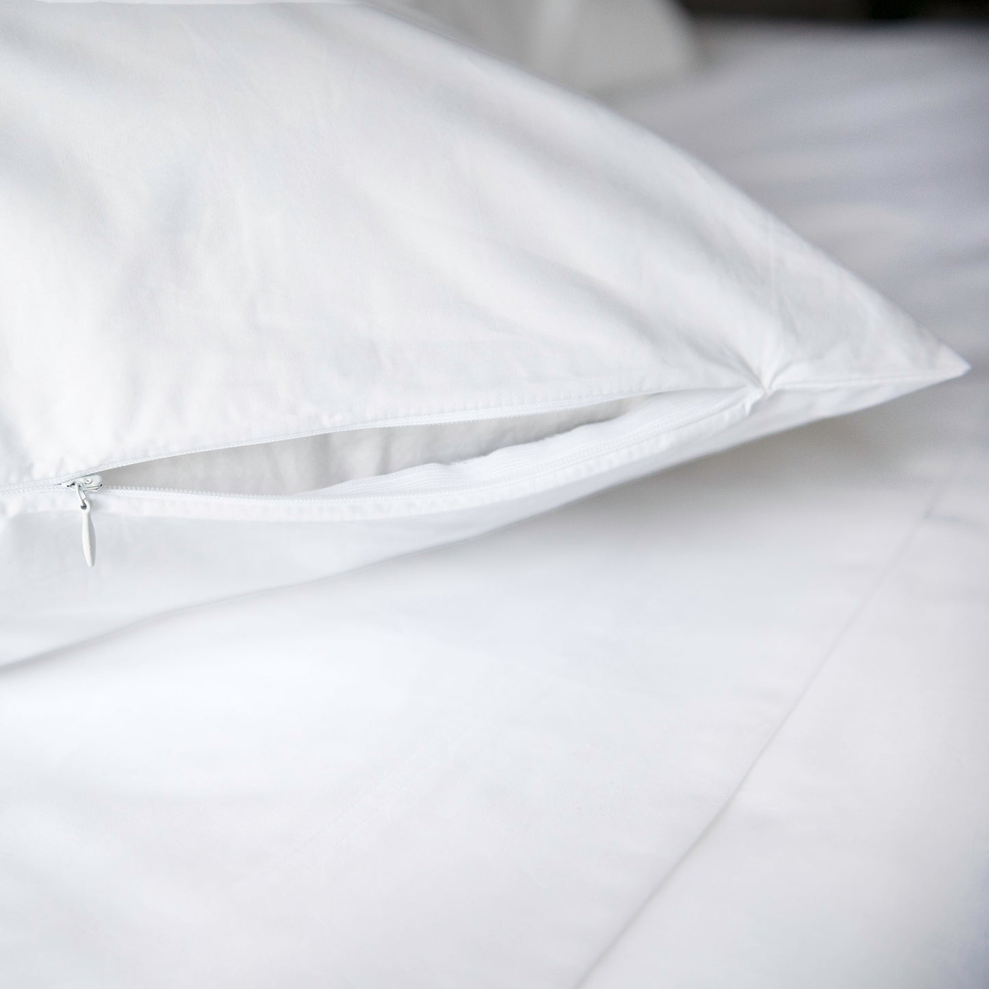 Sintra Cotton Sheet Set