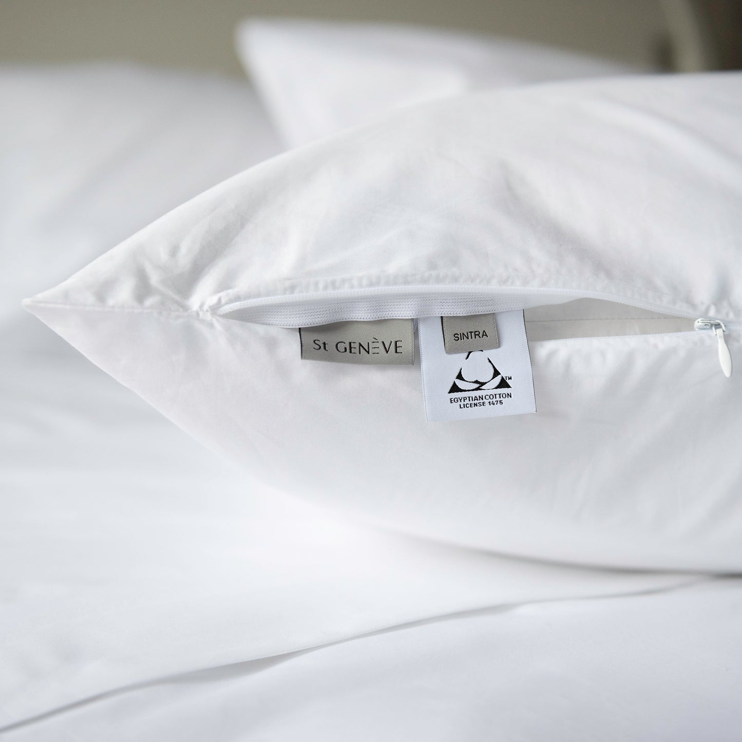 Sintra Cotton Sheet Set