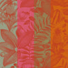 Fruits Exotiques