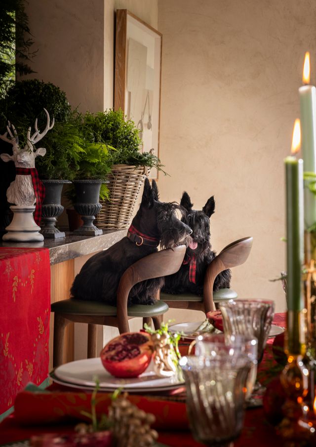 2025 Holiday Collection Féerie - Cotton Tablecloths, Placemats, Napkins & Runners