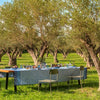 Instant Bucolique Tablecloth, Placemats, Napkins & Runners